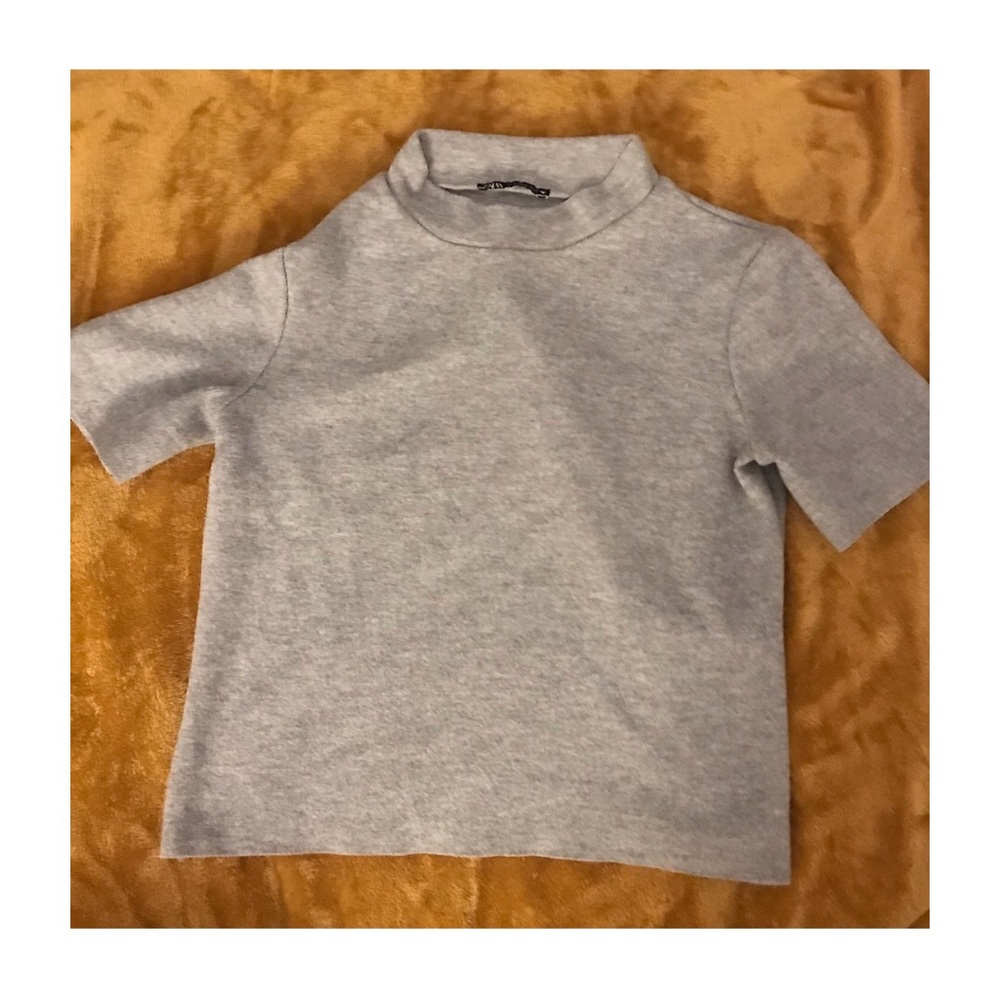 Zara Short Sleeve Turtleneck Sweater